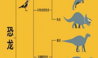 恐龙的种类有什么